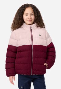 Paminkštinta striukė su rožiniu viršutiniu skyriumi ir tamsiai raudonu apatine dalimi, su gobtuvu, užtrauktuku ir mažuoju Lacoste logotipu ant krūtinės.