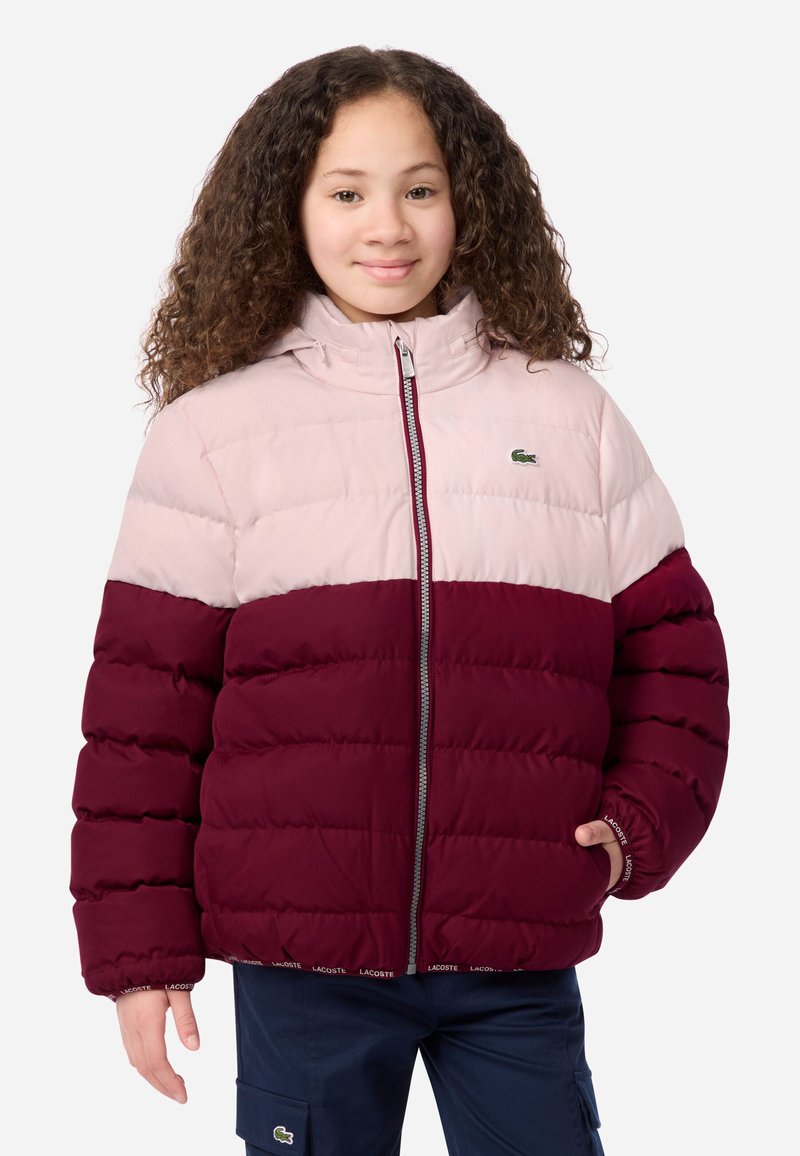 Paminkštinta striukė su rožiniu viršutiniu skyriumi ir tamsiai raudonu apatine dalimi, su gobtuvu, užtrauktuku ir mažuoju Lacoste logotipu ant krūtinės.