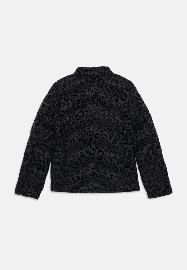 JUNIOR PADDED JACKET ZIP - Winter jacket3