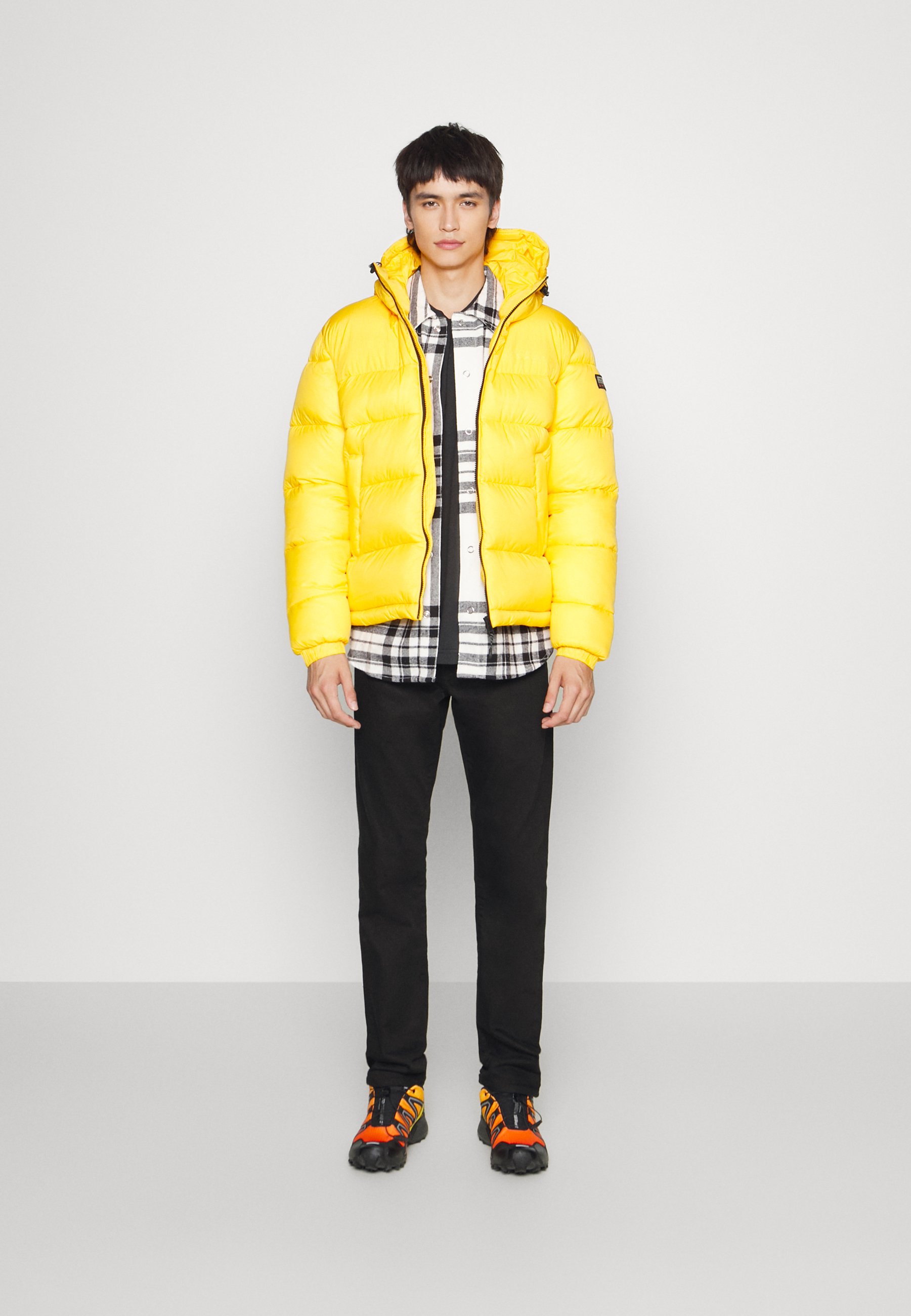 Napapijri HORNELEN - Winter jacket - yellow ray/yellow - Zalando
