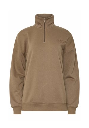 Long Tall Sally, TALL SWEATERS & JUMPERS - Pullover - brown