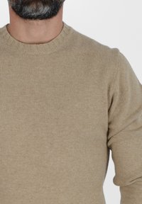 Maglione beige lavorato a maglia con colletto girocollo a coste, caratterizzato da una texture morbida e un design aderente. Colore uniforme senza motivi visibili.