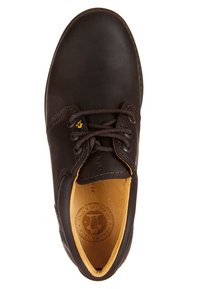 Scarpa in pelle marrone con punta arrotondata, design con lacci e cuciture visibili. Fodera interna di colore chiaro e logo impresso sulla soletta.