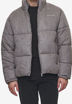 Winterjacke - dark grey