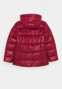 Levi's® PUFFER - Vinterjacka - cabernet