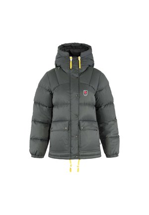 EXPEDITION LITE   - Žieminis paltas - grau