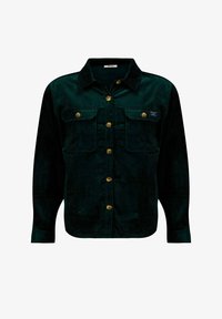 Niet geselecteerd, Lizard