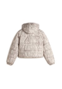 Vans HILLGATE CROPPED PUFFER - Winterjas - light grey
