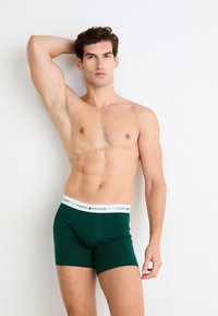 Grüne Baumwoll-Boxershorts mit einem weißen elastischen Bund, der das "Tommy Hilfiger"-Logo trägt. Die Passform ist eng und die Shorts reichen bis zur Mitte des Oberschenkels.