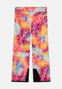 The North Face FREEDOM INSULATED PANT UNISEX - Ski- & snowboardbukser - multi-coloured