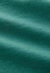 Next REGULAR FIT - Maglietta a manica lunga - green back print