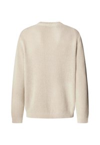Pull beige en maille avec col rond, manches longues, poignets et ourlet côtelés, vu de dos sur un fond blanc.
