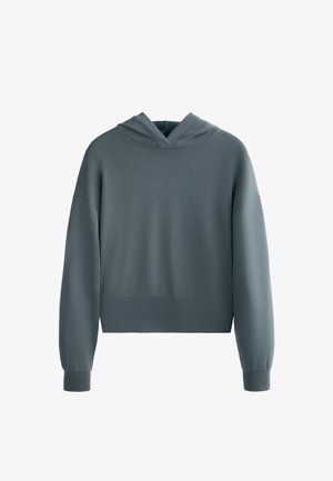 Hooded sweatshirt in soft, muted blue fabric. Features a cropped design, wide sleeves, and a clean, minimal finish.