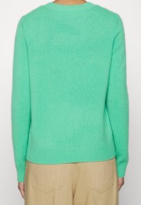 Mintgroene trui met een ronde hals, lange mouwen en ribbelzoom. Zachte textuur en een getailleerd ontwerp. Geen zichtbare patronen of accenten.
