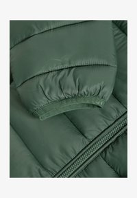 Ausgewählt, dark forest