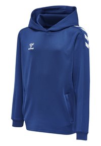 Felpa blu realizzata in tessuto liscio, con cappuccio regolabile tramite cordino, tasche laterali e logo bianco. Dettagliata con chevron bianchi sulle maniche.