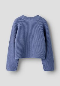 Pull en tricot bleu avec une texture côtelée, design cropped, manches raglan et encolure ronde. Présente des coutures renforcées à l'ourlet.