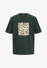 Unausgewählt, forest river