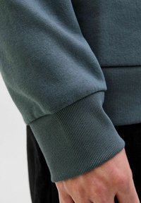 Grå sweatshirt med ribbet manchet, blød tekstur og et afslappet fit. Stoffet fremstår glat med en subtle glans.