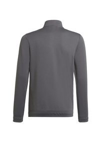 Chaqueta gris de manga larga con un cuello alto. Textura suave, diseño minimalista y puños y dobladillo elásticos. Sin hardware visible ni patrones.