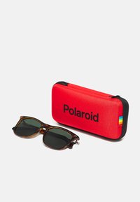 Kilpikonnakuoriset aurinkolasit tummilla linsseillä punaisen vetoketjullisen kotelon vieressä, jossa on musta "Polaroid" -teksti ja sateenkaariyksityiskohta.