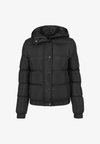 LADIES HOODED PUFFER JACKET - Veste d'hiver - black