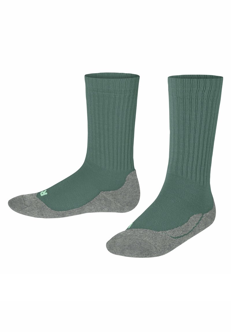 FALKE ACTIVE WARM  - Calze sportive - dark jade