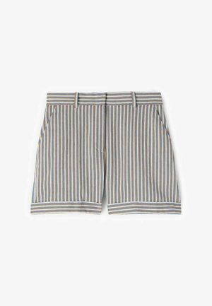 Blå, hvide og brune lodrette stribede skræddersyede shorts med taljebånd, bæltestropper, sidelommer og opkrogede kanter.