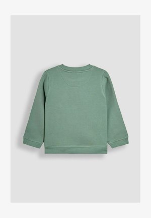 Sweatshirt en coton vert à manches longues et encolure ronde. Présente des poignets et un ourlet côtelés, une texture lisse et aucune impression graphique.