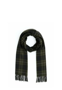 Sciarpa a quadri neri e verdi con frange ai bordi. Realizzata in materiale morbido con motivo intrecciato e trama testurizzata, presenta un disegno a quadri prominente.