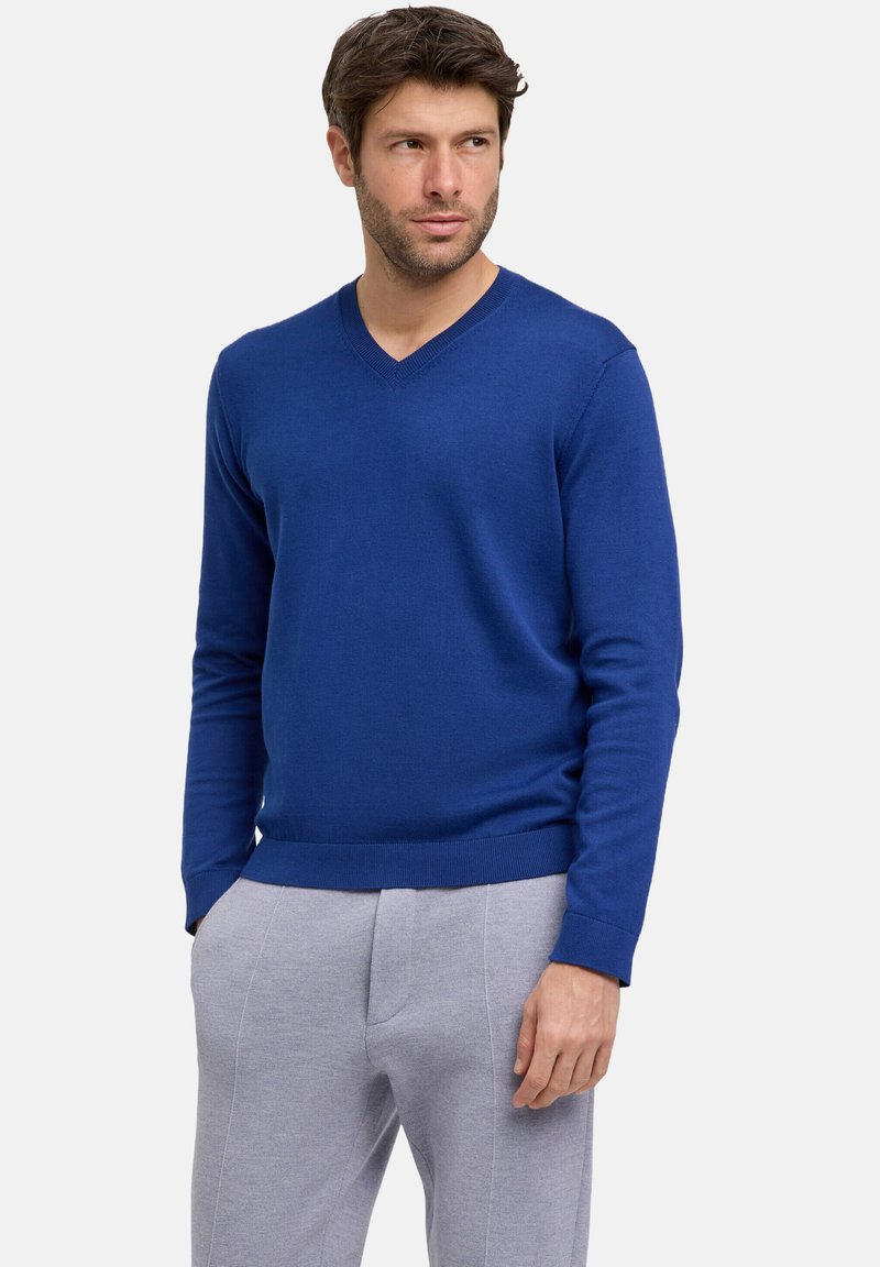 Pullover blu a V realizzato in un morbido tessuto a maglia, con maniche lunghe e vestibilità aderente in vita. Indossato con pantaloni grigi.