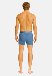 Blauwe boxershorts met een aansluitend ontwerp, voorzien van een contrasterende gestreepte tailleband. Gladde textuur, lengte tot halverwege de dij, zonder zichtbare patronen.