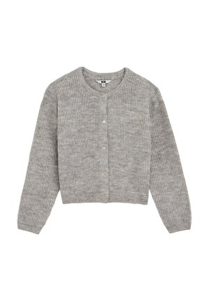 Neuletakki - blended light grey