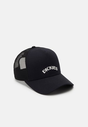 Czarna czapka typu trucker Dickies z zakrzywionym daszkiem i siateczkowymi panelami z tyłu, wyhaftowaną nazwą marki na środku przedniego panelu.