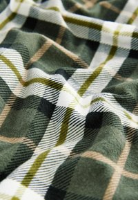 Next COSY MOTIONFLEX LONG SLEEVE SET - REGULAR FIT - Pyjama - green check