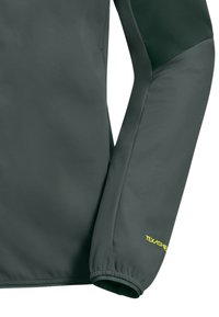 Jack Wolfskin FELDBERG - Veste softshell - slate green