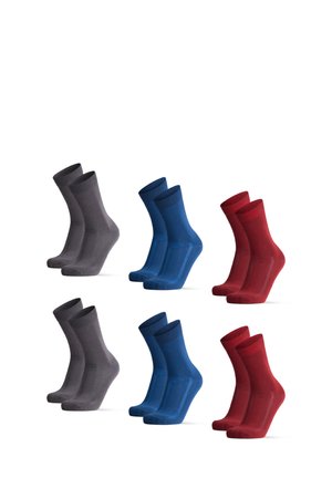 6-PACK  - Chaussettes - grey/blue/red