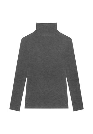 Grijze langmouwen turtleneck shirt gemaakt van zachte stof, met een minimalistisch ontwerp, een strakke pasvorm en zonder patronen of accenten.
