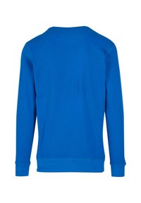 Felpa blu con maniche lunghe, colletto a girocollo, texture liscia e design minimale. Nessun motivo o dettaglio visibile.
