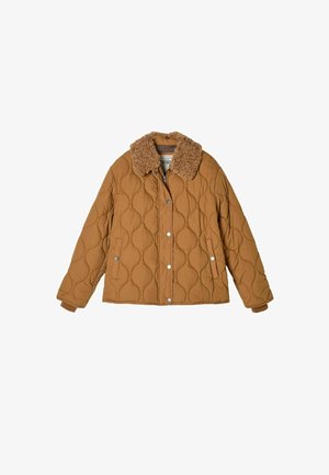 FatFace, QUILT JACKET - Overgangsjakke - tan brown