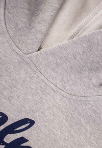 Sudadera con capucha de color gris claro, con un escote relajado, tejido texturizado y letras en azul oscuro. Sin hardware ni acentos visibles.
