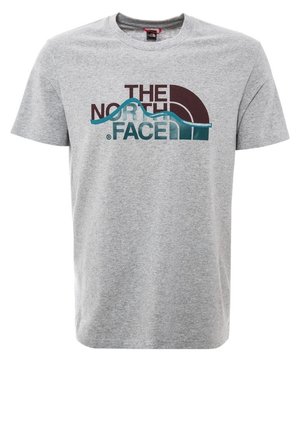 T-shirt gris clair à manches courtes avec un logo "The North Face" multicolore et un graphisme de montagne sur le devant.