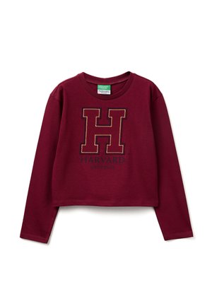 PRINTED EMBROIDERED - Long sleeved top - red