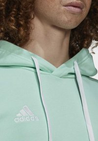 Licht mintgroene hoodie met witte trekkoorden, voorzien van een klein wit geborduurd logo op de borst. Zachte katoenen stof.