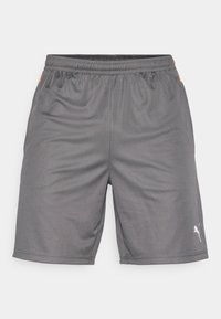 Grå treningsshorts laget av lett materiale, med elastisk midjebånd og en liten hvit logo på venstre side.