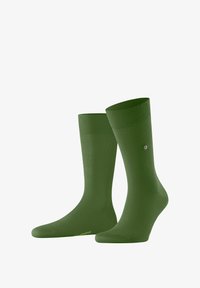 Unausgewählt, fir green