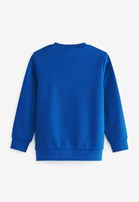 Sweatshirt blu con scollo rotondo, maniche lunghe e polsini a coste. Texture liscia, colore unito senza motivi o accenti.