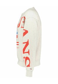 Ljusgrå sweatshirt med fet röd text framtill och på ärmarna. Har rund halsringning och ribbade ärmslut. Tillverkad av en bomullsblandning.