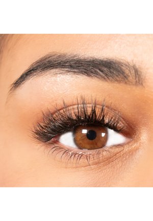 SINGLE BOX - False eyelashes - LASH BOSS