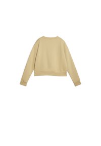 Felpa beige corta con maniche lunghe, colletto rotondo e polsini a costine. Texture del tessuto liscia, design minimalista con schiena semplice.
